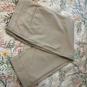 Ann Taylor Ankle Pants Curvy Fit, Beige, size 16